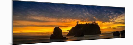 Ruby Beach Olympic National Park-Steve Gadomski-Mounted Photographic Print