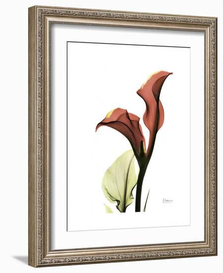 Ruby Calla Lily-Albert Koetsier-Framed Premium Giclee Print