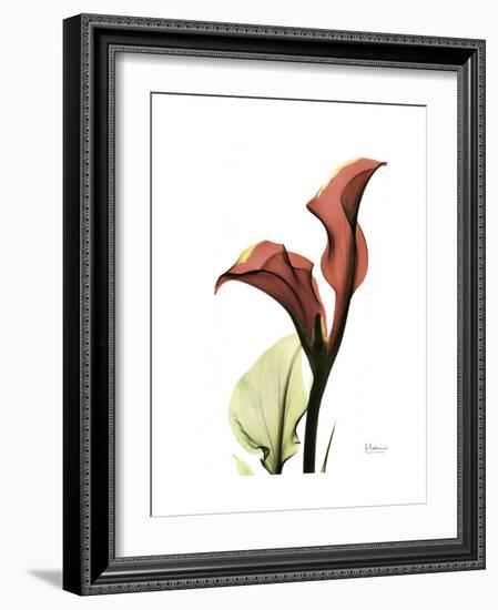 Ruby Calla Lily-Albert Koetsier-Framed Premium Giclee Print