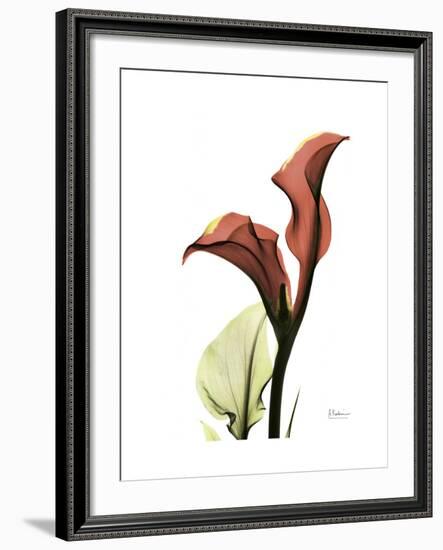 Ruby Calla Lily-Albert Koetsier-Framed Premium Giclee Print