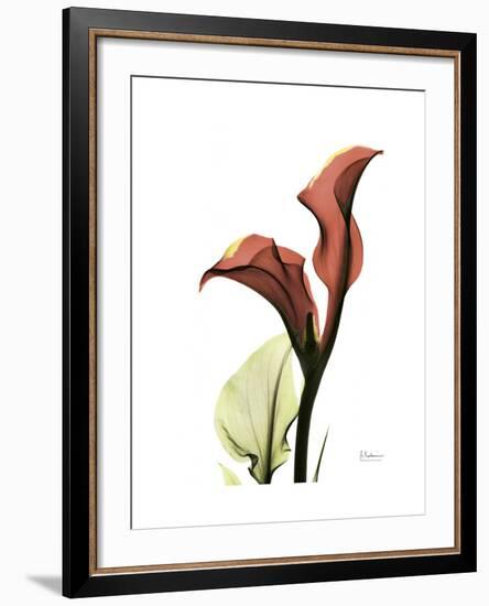 Ruby Calla Lily-Albert Koetsier-Framed Premium Giclee Print