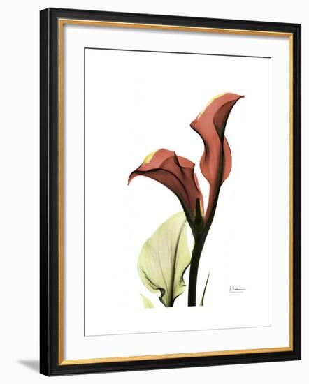 Ruby Calla Lily-Albert Koetsier-Framed Premium Giclee Print