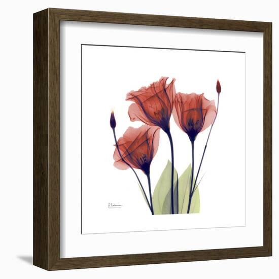 Ruby Gentian-Albert Koetsier-Framed Art Print