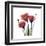 Ruby Gentian-Albert Koetsier-Framed Art Print