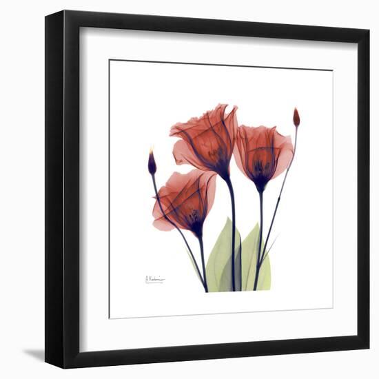 Ruby Gentian-Albert Koetsier-Framed Art Print