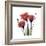 Ruby Gentian-Albert Koetsier-Framed Art Print