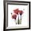 Ruby Gentian-Albert Koetsier-Framed Art Print