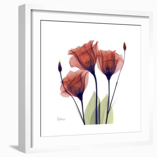 Ruby Gentian-Albert Koetsier-Framed Art Print