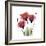 Ruby Gentian-Albert Koetsier-Framed Art Print