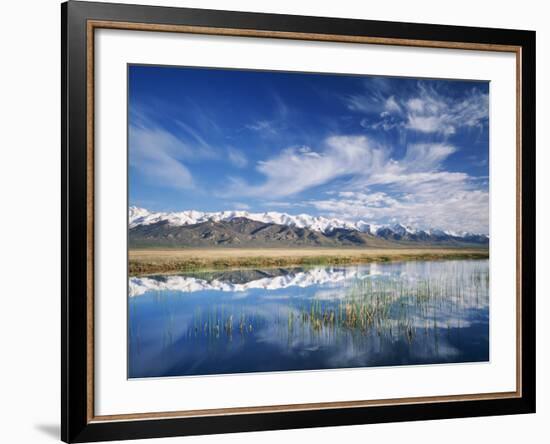 Ruby Mountains and Slough along Franklin Lake, UX Ranch, Great Basin, Nevada, USA-Scott T. Smith-Framed Photographic Print