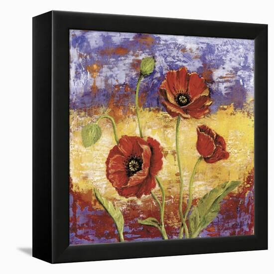 Ruby Red Poppies-Tina Chaden-Framed Stretched Canvas