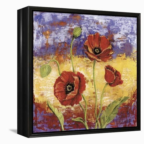 Ruby Red Poppies-Tina Chaden-Framed Stretched Canvas