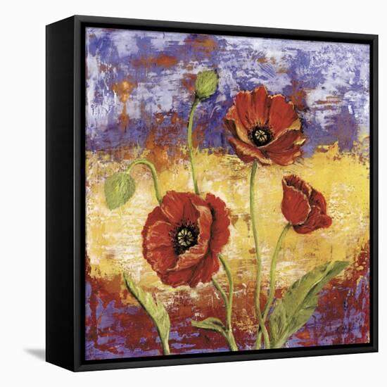 Ruby Red Poppies-Tina Chaden-Framed Stretched Canvas