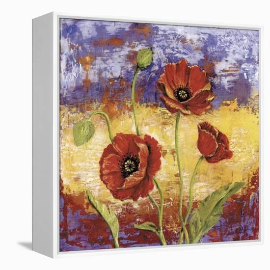 Ruby Red Poppies-Tina Chaden-Framed Stretched Canvas