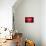 Ruby Red-Philippe Sainte-Laudy-Photographic Print displayed on a wall