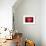 Ruby Red-Philippe Sainte-Laudy-Framed Photographic Print displayed on a wall