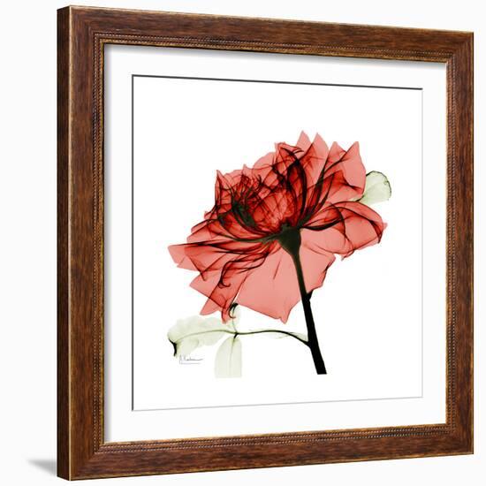 Ruby Rose 1-Albert Koetsier-Framed Premium Giclee Print