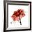 Ruby Rose 1-Albert Koetsier-Framed Premium Giclee Print