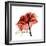 Ruby Rose 1-Albert Koetsier-Framed Premium Giclee Print