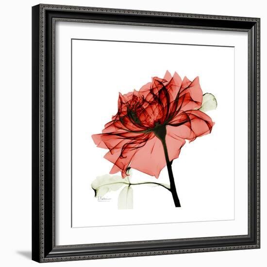 Ruby Rose 1-Albert Koetsier-Framed Premium Giclee Print