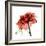 Ruby Rose 1-Albert Koetsier-Framed Premium Giclee Print