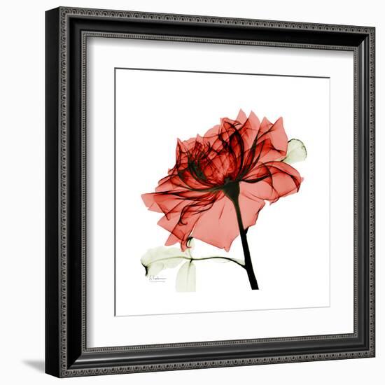 Ruby Rose 1-Albert Koetsier-Framed Art Print