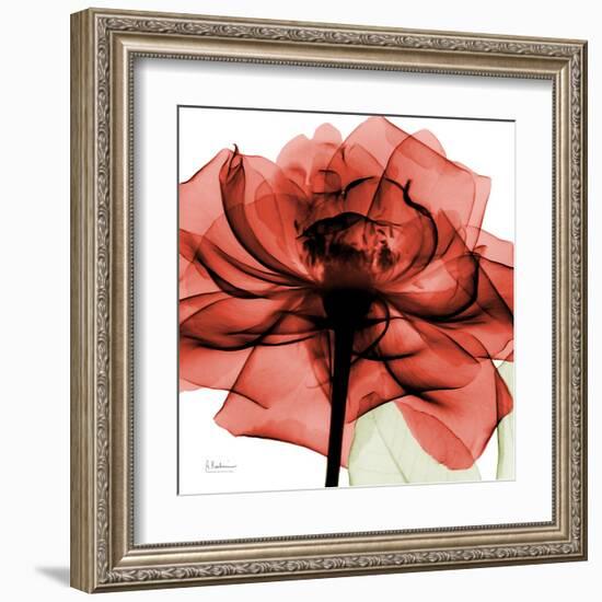 Ruby Rose 2-Albert Koetsier-Framed Art Print