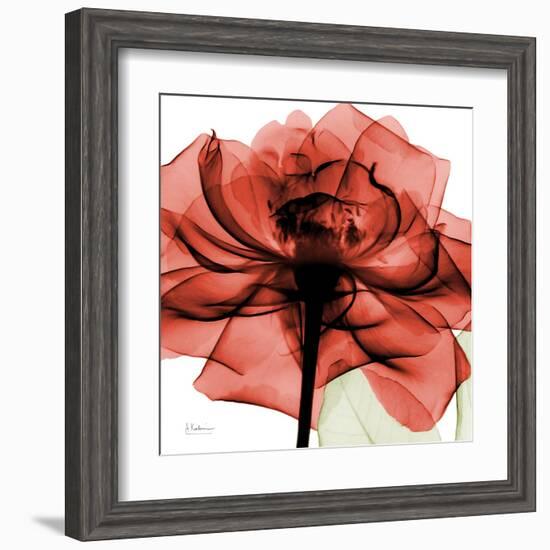 Ruby Rose 2-Albert Koetsier-Framed Art Print