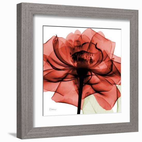 Ruby Rose 2-Albert Koetsier-Framed Art Print