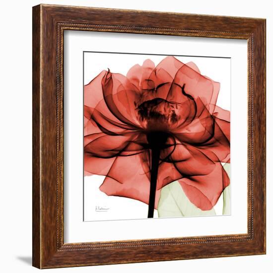 Ruby Rose 2-Albert Koetsier-Framed Art Print