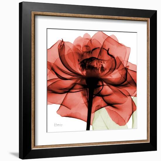 Ruby Rose 2-Albert Koetsier-Framed Art Print