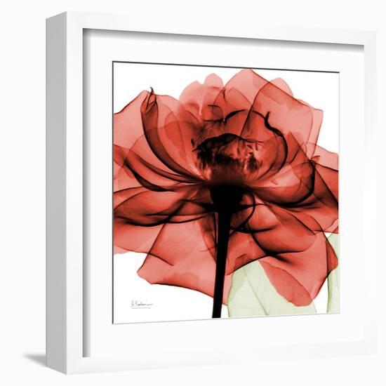 Ruby Rose 2-Albert Koetsier-Framed Art Print