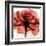 Ruby Rose 2-Albert Koetsier-Framed Art Print