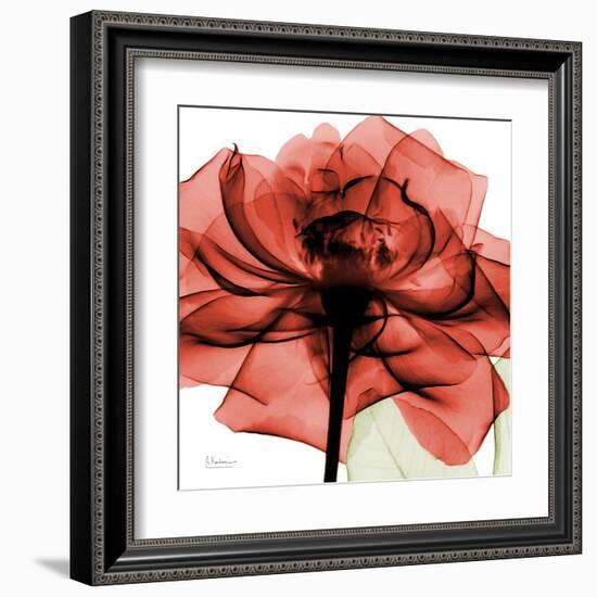 Ruby Rose 2-Albert Koetsier-Framed Art Print