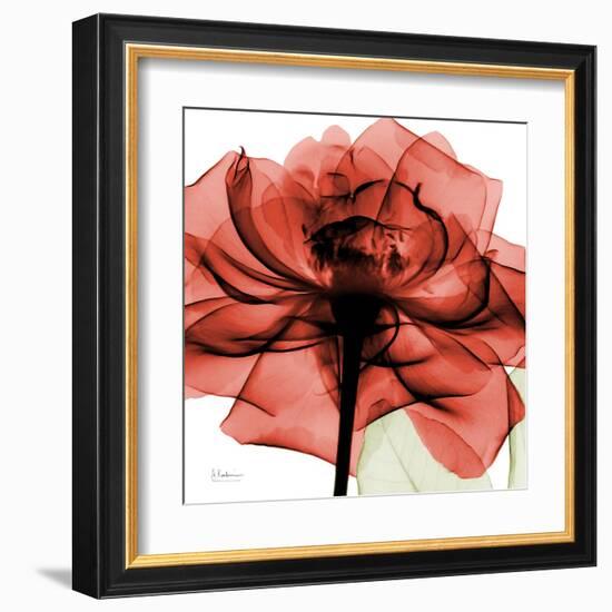 Ruby Rose 2-Albert Koetsier-Framed Art Print