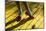 Ruby slippers worn by Dorothy Gale, Wizard of Oz Park, Beech Mountain, Yellow Brick Road, North...-Panoramic Images-Mounted Photographic Print