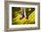 Ruby slippers worn by Dorothy Gale, Wizard of Oz Park, Beech Mountain, Yellow Brick Road, North...-Panoramic Images-Framed Photographic Print