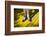 Ruby slippers worn by Dorothy Gale, Wizard of Oz Park, Beech Mountain, Yellow Brick Road, North...-Panoramic Images-Framed Photographic Print