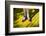 Ruby slippers worn by Dorothy Gale, Wizard of Oz Park, Beech Mountain, Yellow Brick Road, North...-Panoramic Images-Framed Photographic Print