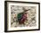 Ruby-tailed wasp curled up in defensive posture, UK-Andy Sands-Framed Photographic Print