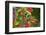 Ruby-throated Hummingbird (Archilochus colubris) hovering-Larry Ditto-Framed Photographic Print