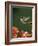 Ruby Throated Hummingbird, Male Flying, Texas, USA-Rolf Nussbaumer-Framed Photographic Print