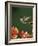 Ruby Throated Hummingbird, Male Flying, Texas, USA-Rolf Nussbaumer-Framed Photographic Print