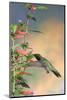 Ruby-Throated Hummingbird Male on Cigar Plant, Marion County, Illinois-Richard and Susan Day-Mounted Photographic Print