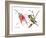 Ruby Throated Hummingbird-Suren Nersisyan-Framed Art Print