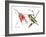 Ruby Throated Hummingbird-Suren Nersisyan-Framed Art Print