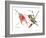 Ruby Throated Hummingbird-Suren Nersisyan-Framed Art Print