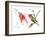 Ruby Throated Hummingbird-Suren Nersisyan-Framed Art Print