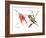 Ruby Throated Hummingbird-Suren Nersisyan-Framed Art Print