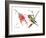 Ruby Throated Hummingbird-Suren Nersisyan-Framed Art Print